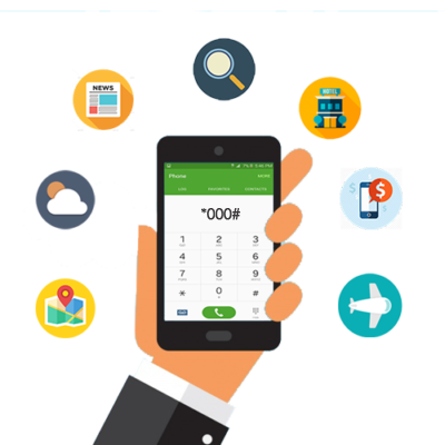 USSD Implementation Process